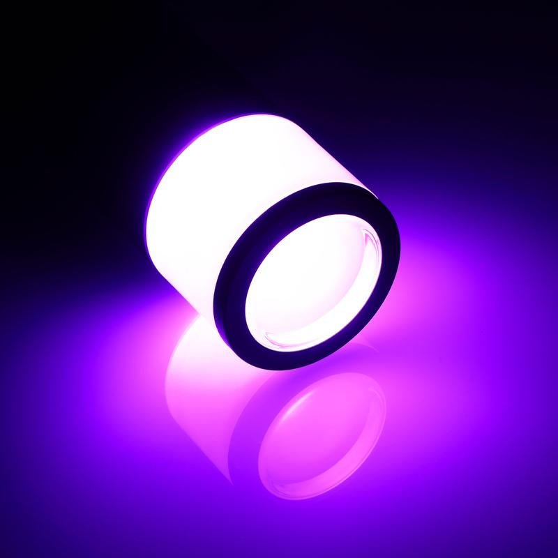 Leonlite® O-Ring Colorato Path & Area Light