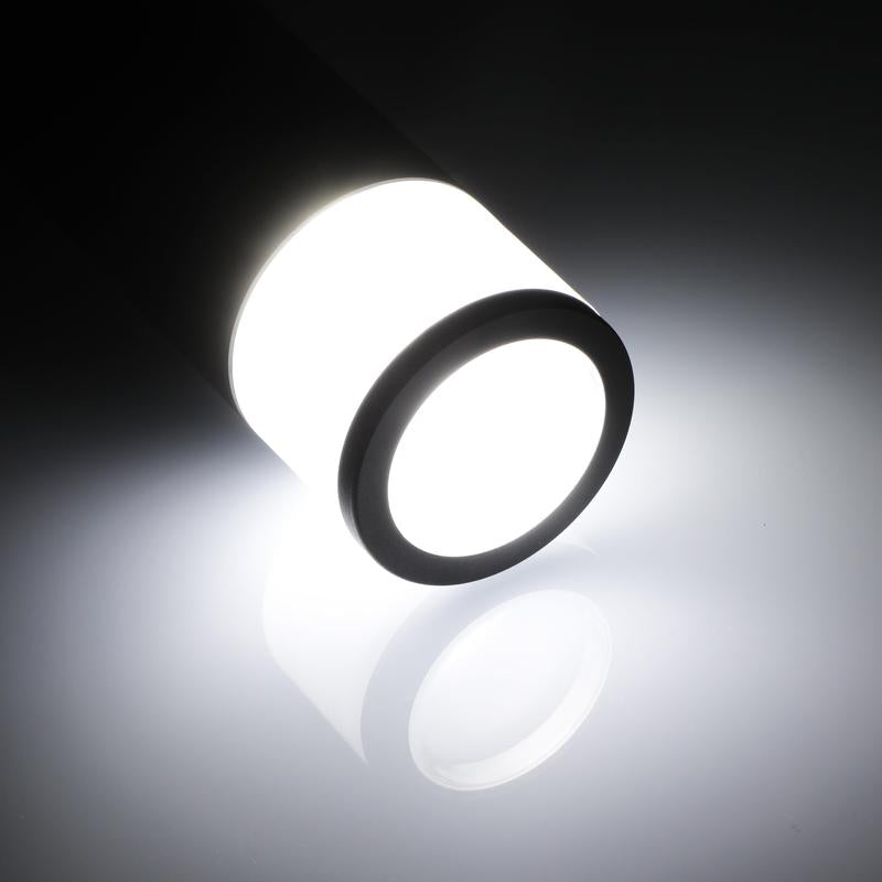 Leonlite® O-Ring Colorato Path & Area Light