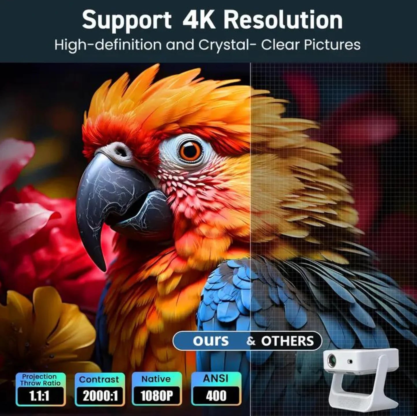 FUSION Projector