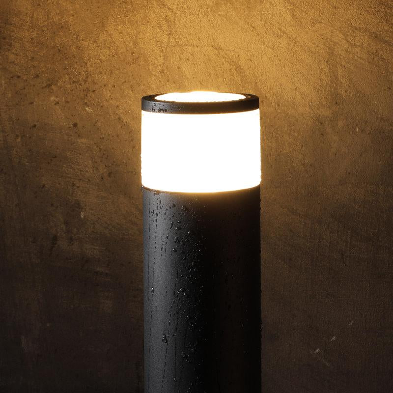Leonlite® O-Ring Colorato Path & Area Light