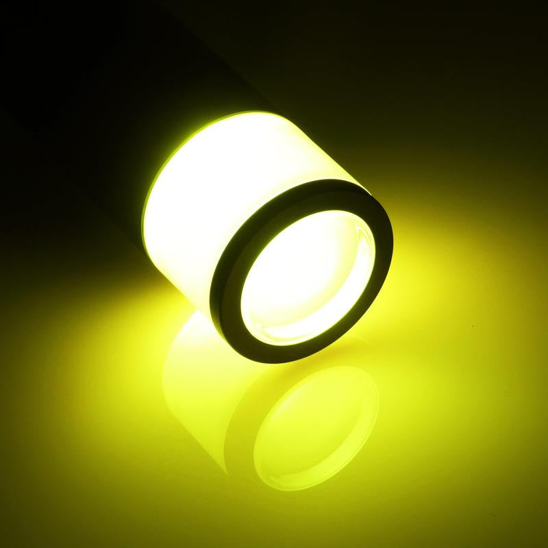 Leonlite® O-Ring Colorato Path & Area Light
