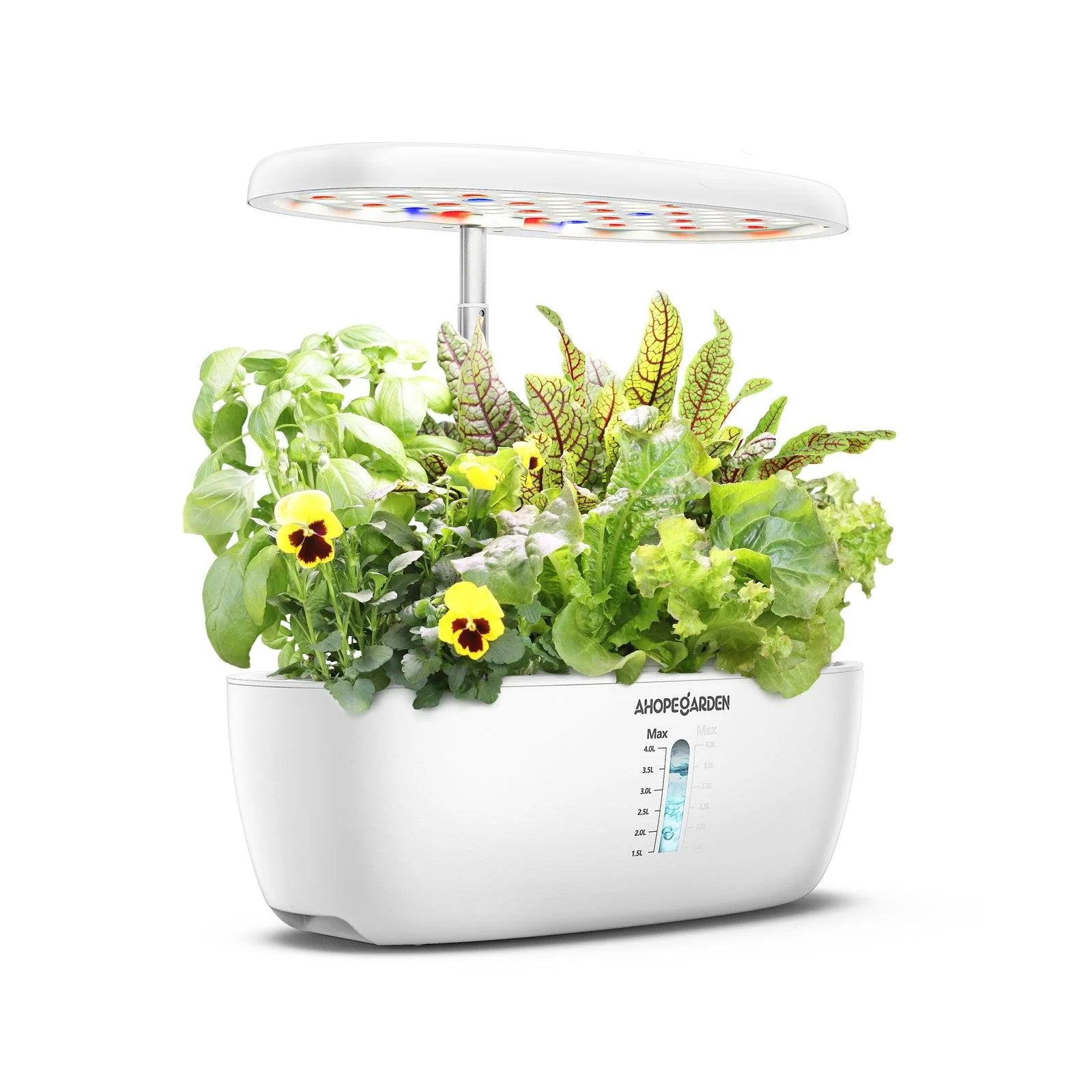 12 Seed Pods Smart Garden