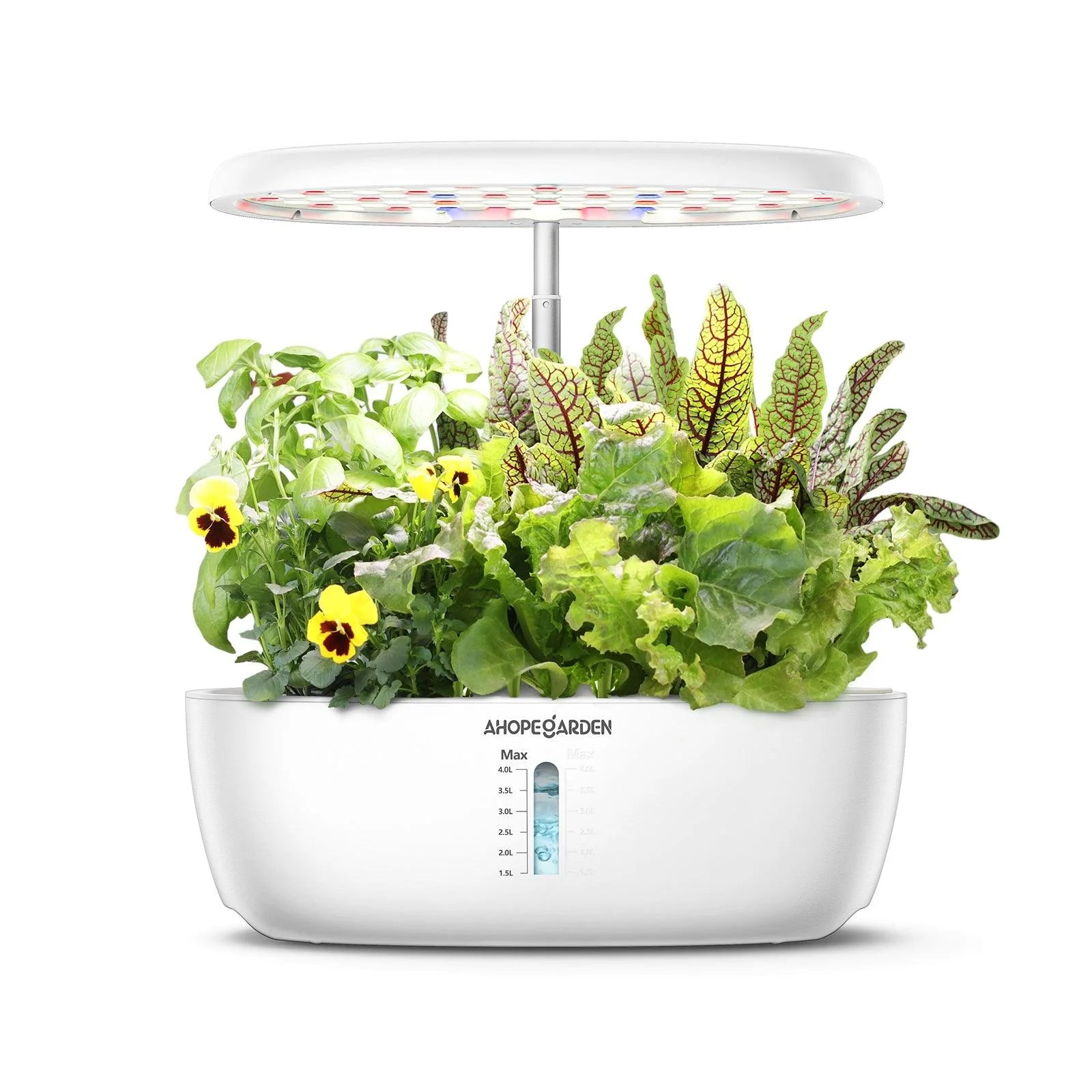 12 Seed Pods Smart Garden