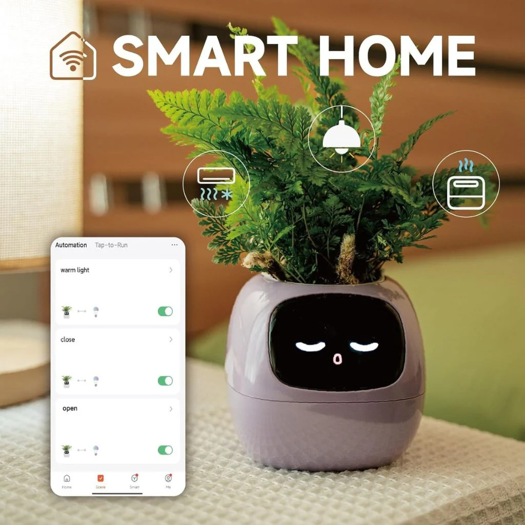 IVY SMART Pot Plant 