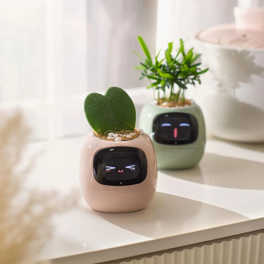 IVY SMART Pot Plant 