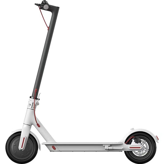 Electric Scooter Model 8.5