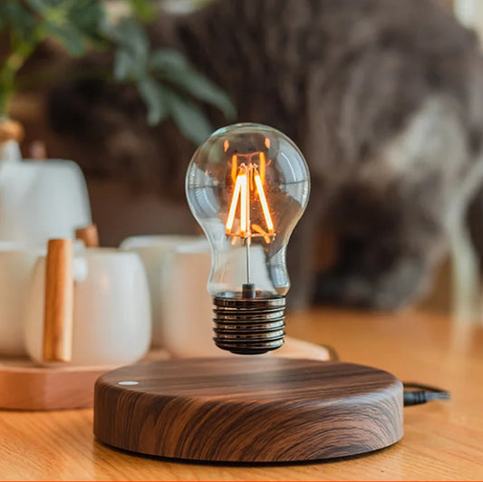 Magnetic Levitation bulb