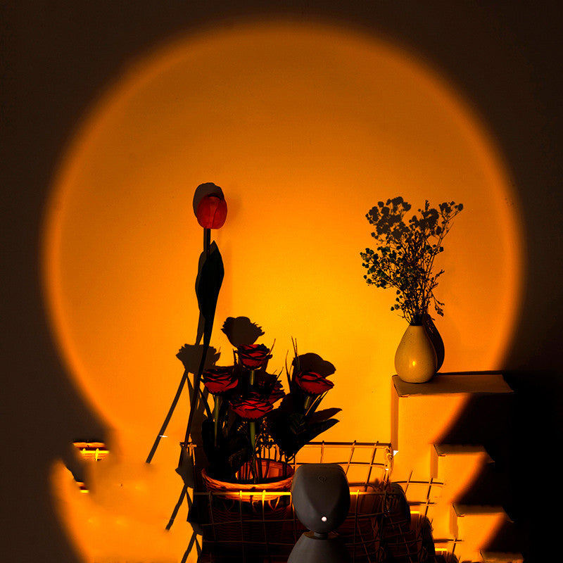 Sunset Light Astronaut