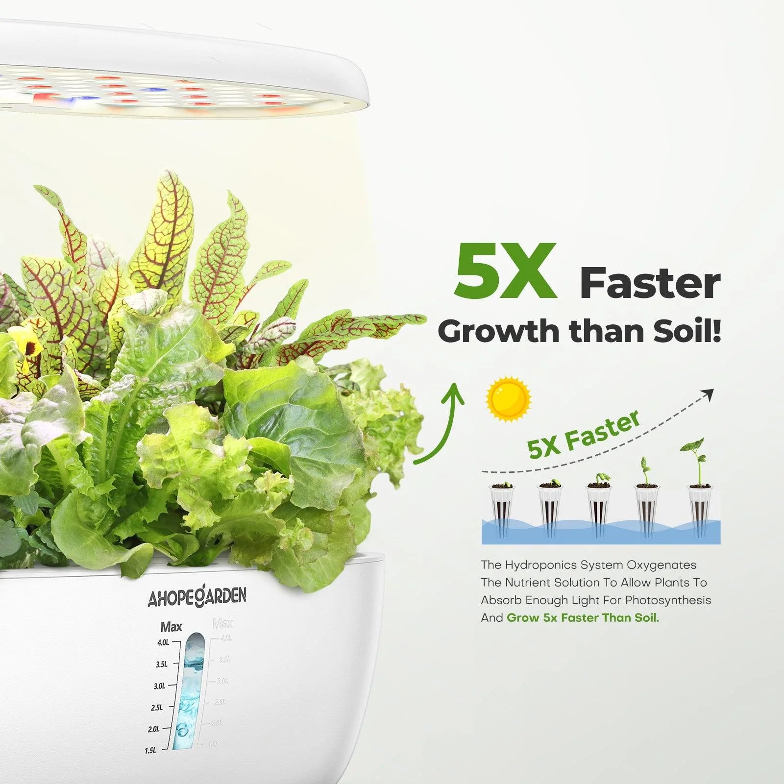 12 Seed Pods Smart Garden