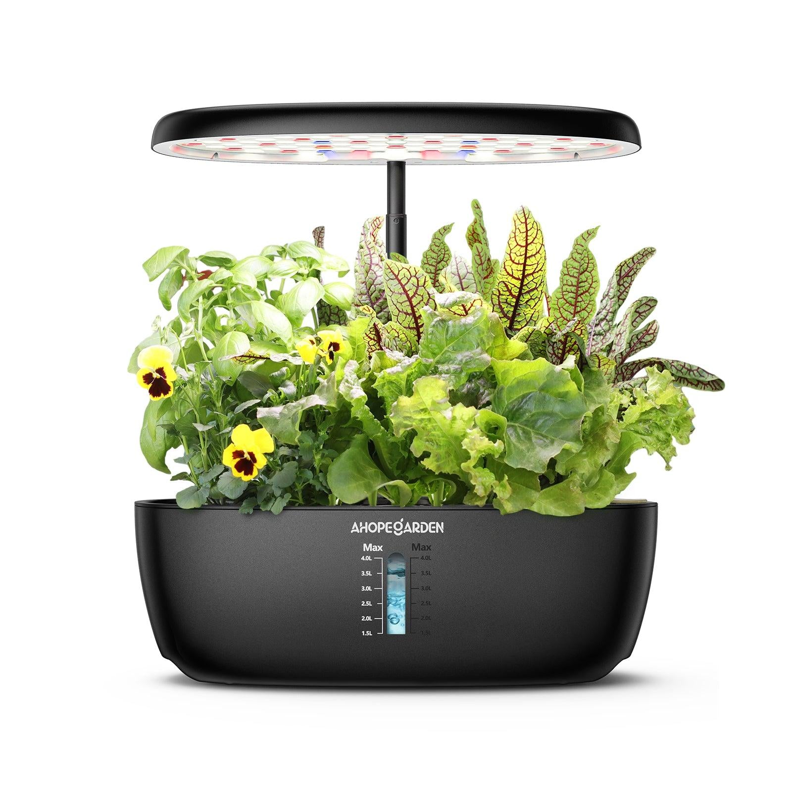 12 Seed Pods Smart Garden
