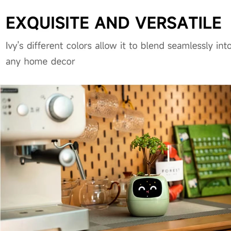 IVY SMART Pot Plant 