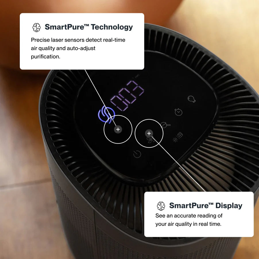 Air Purifier Mini