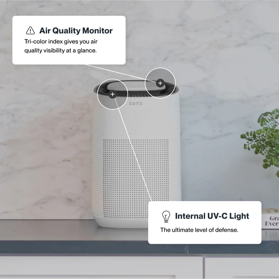 Air Purifier Mini