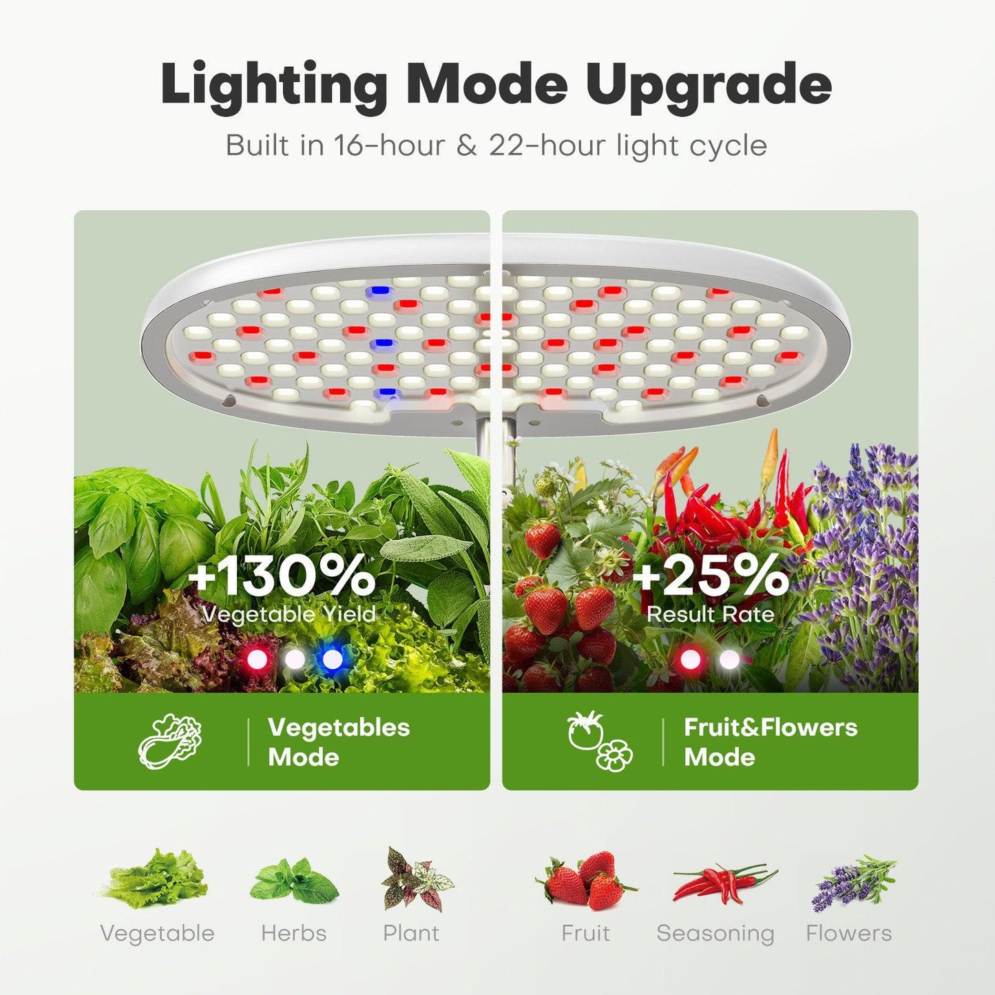 12 Seed Pods Smart Garden