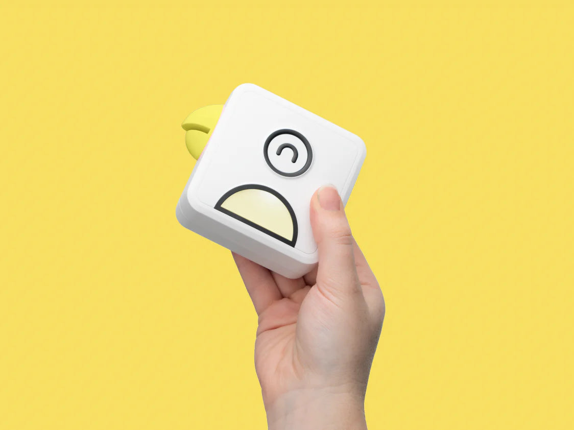 L1/L2 Inkless Pocket Printer