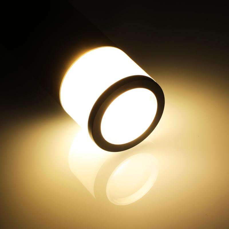 Leonlite® O-Ring Colorato Path & Area Light