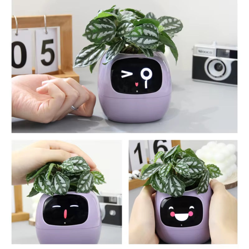 IVY SMART Pot Plant 