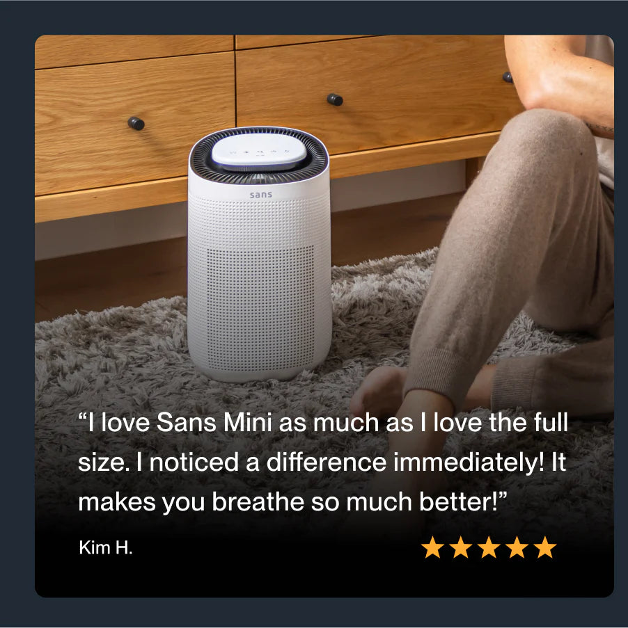 Air Purifier Mini