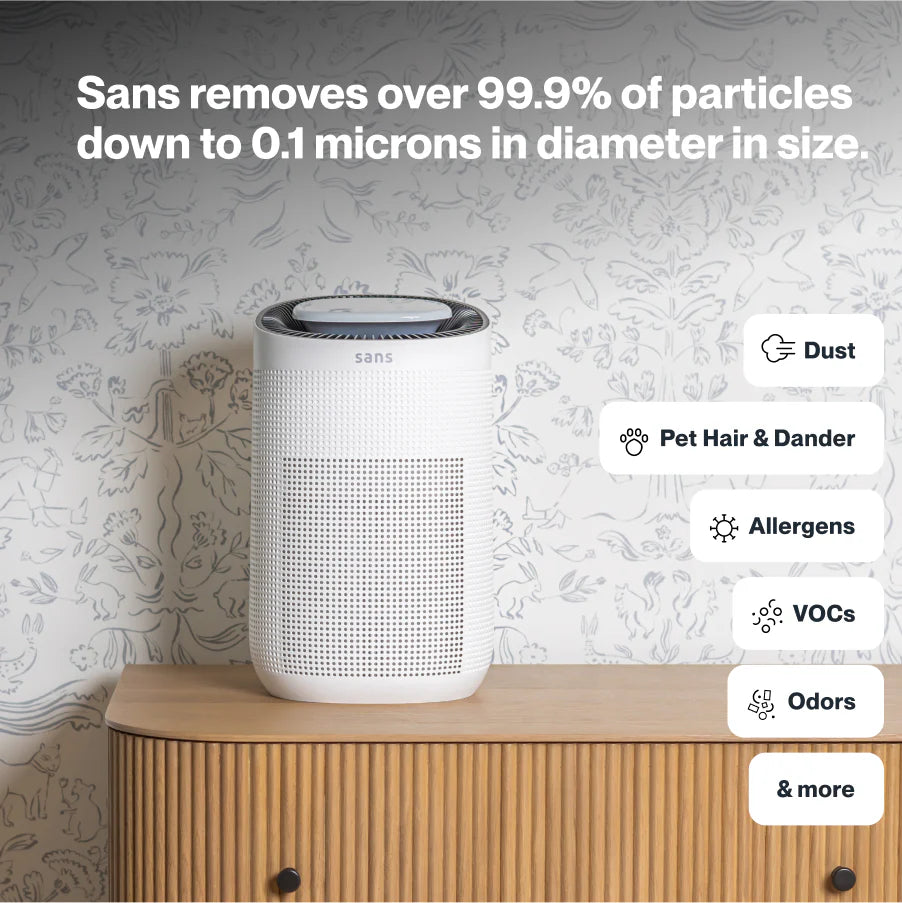 Air Purifier Mini