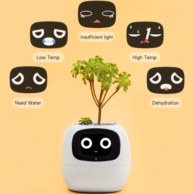 IVY SMART Pot Plant 