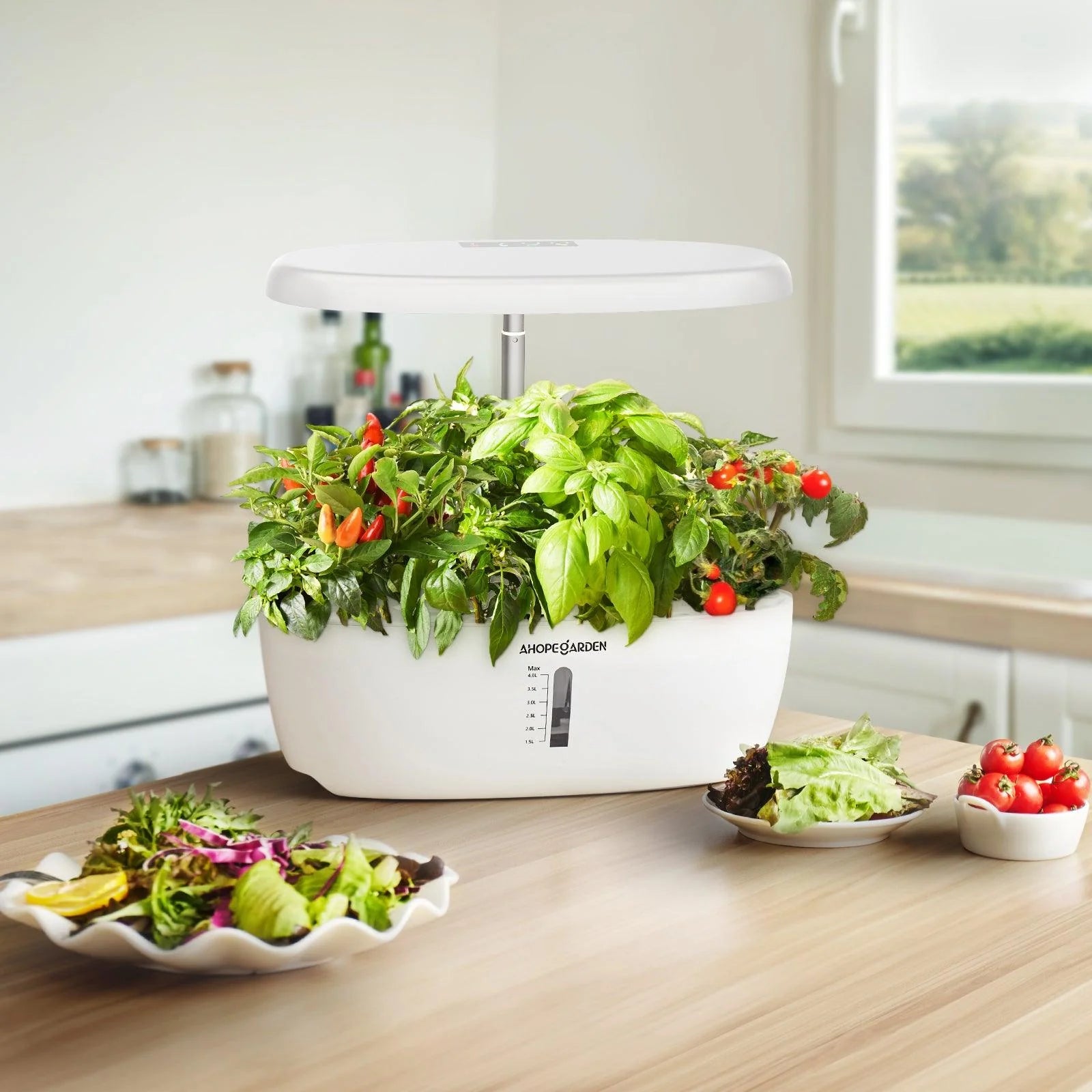 12 Seed Pods Smart Garden