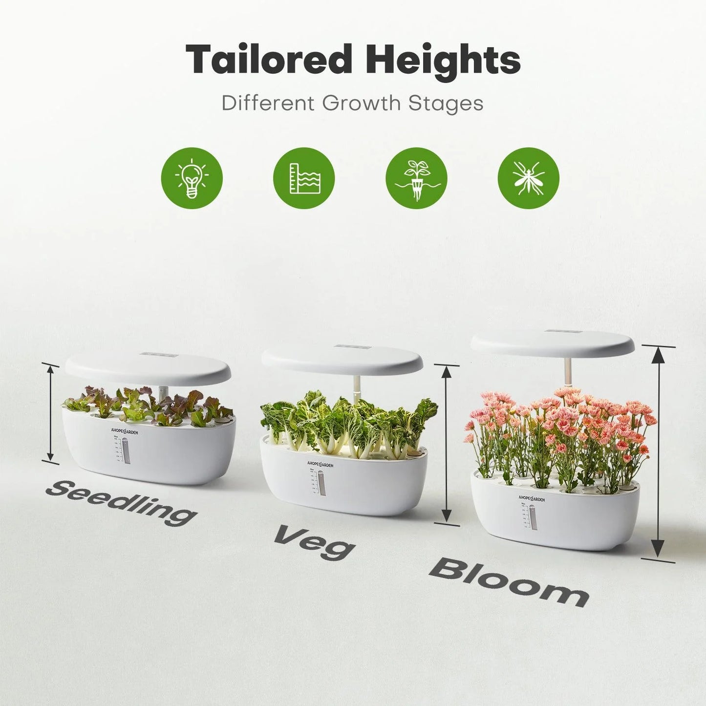 12 Seed Pods Smart Garden