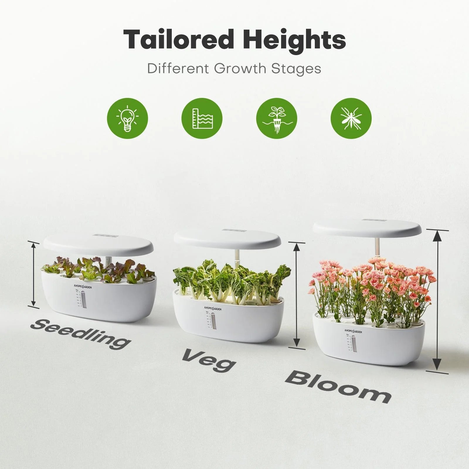 12 Seed Pods Smart Garden