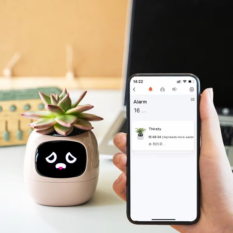 IVY SMART Pot Plant 
