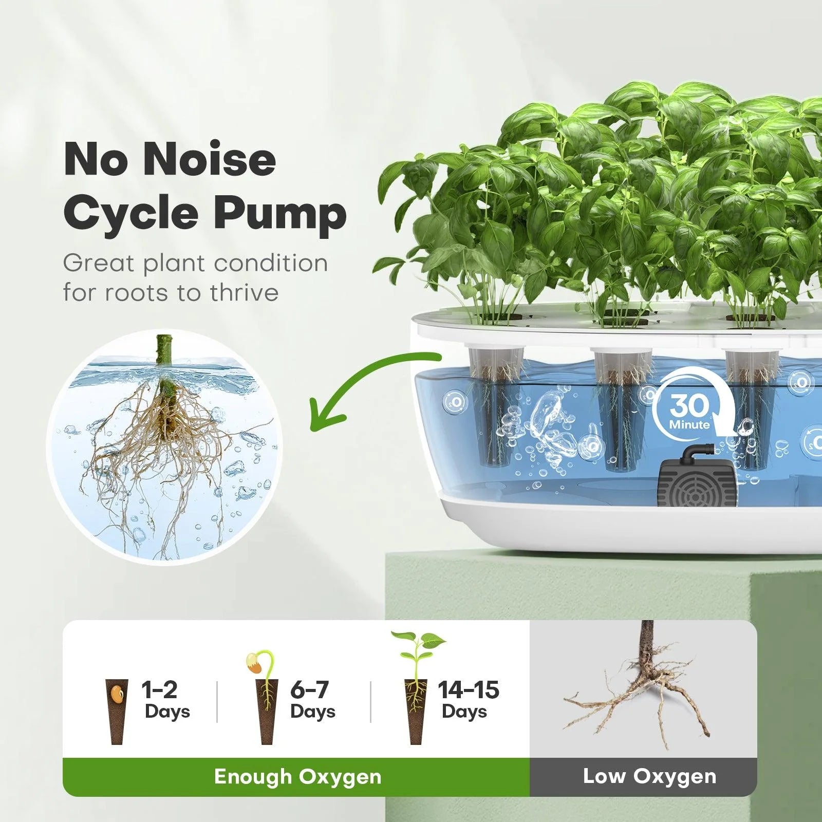 12 Seed Pods Smart Garden