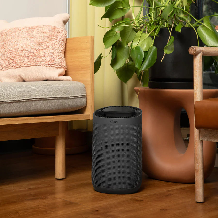 Air Purifier Mini
