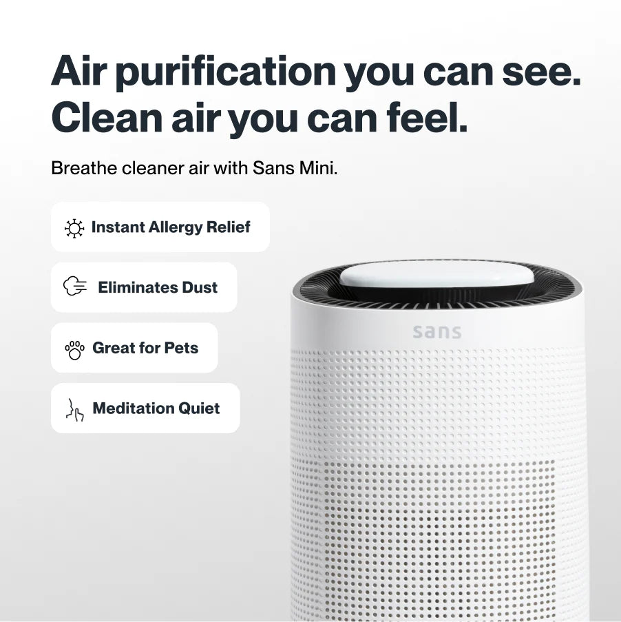 Air Purifier Mini